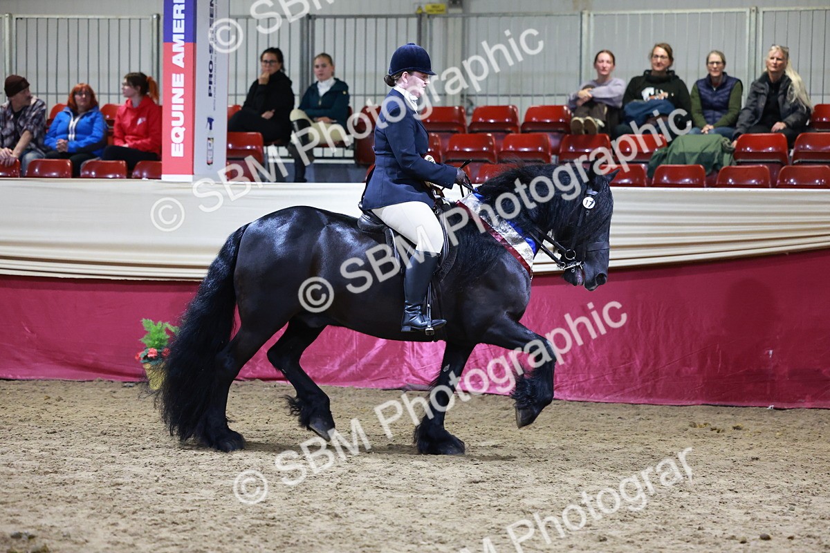 SBM_20920 - Class M - Equitation Champ