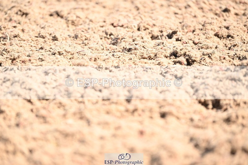 240621A-100833-01718 - Cls 2 BD Prelim 19