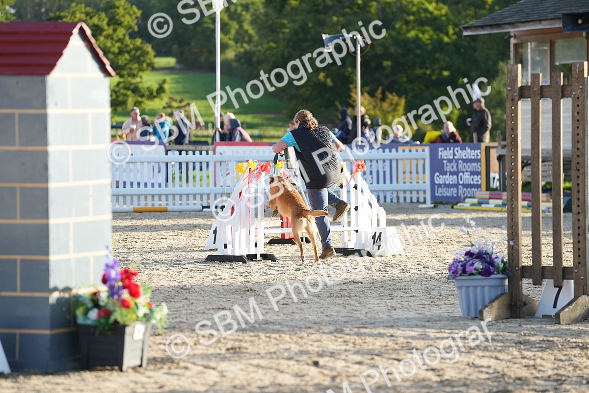 SBM_29400 - J44 - Horse & Hound Open 70cm