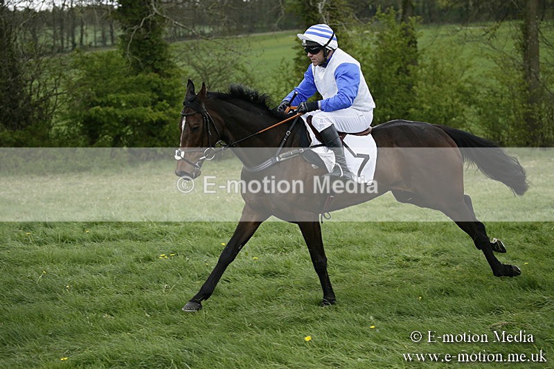 PtP 170417 524 - Old Berks Point-to-Point Lockinge 17/04/17