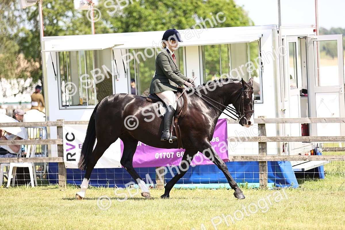 SBM_15031 - Class 79-80 - LIHS BSHA Rising Star Ridden Hunter