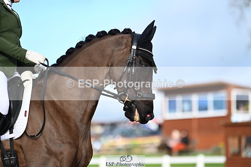 240218A-144359-08917 - 145-Lucy.Amy-Millenium.Falcon