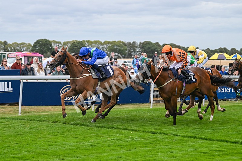 300825-Race 7-Urban Sprawl-2157 - Race 7