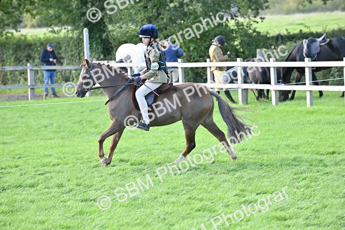 SBM_51237 - S22 - First Ridden show and show Hunter Pony