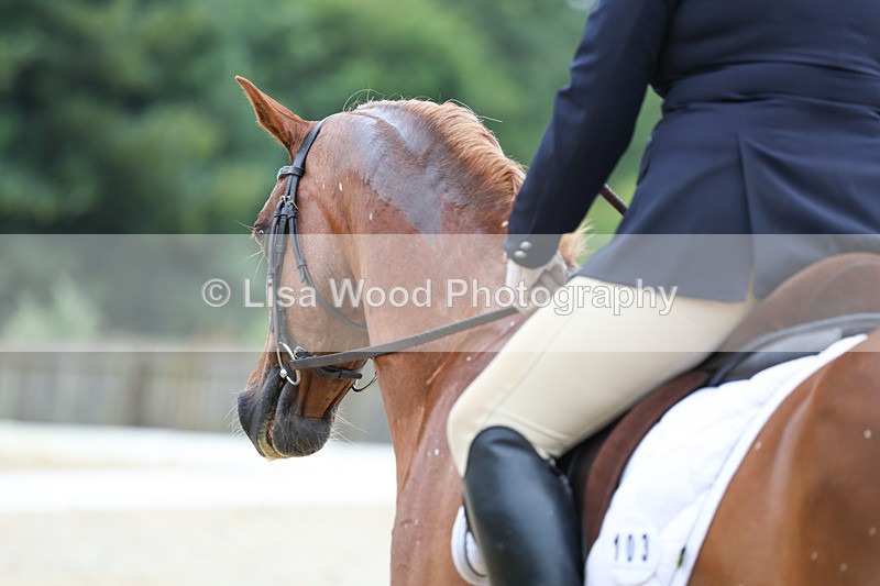 3E7A7892 - Class 1: Intro 3 2024 section A