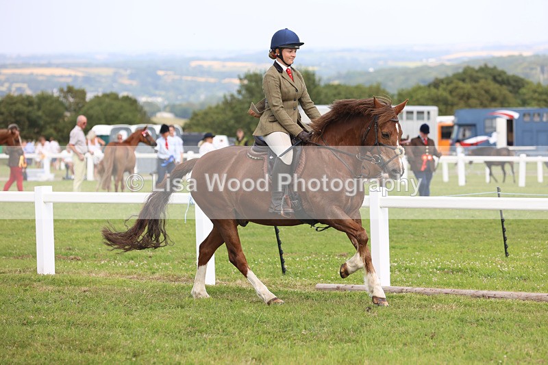 JPP_3844 - Class 23: Working Hunter 80cm