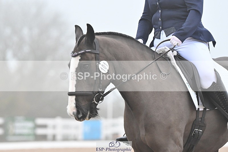 240217A-100549-00534 - 101-Chloe.Walton-La.Comtesse.Noire