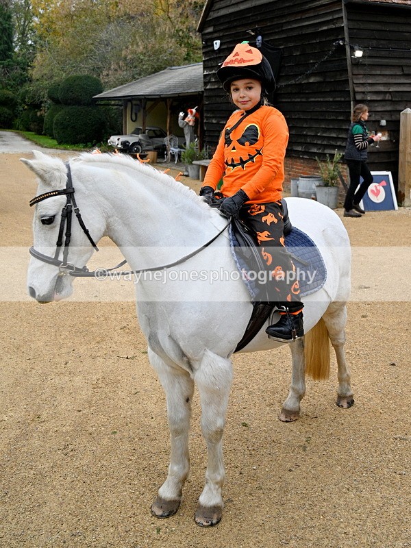 WJ7_6072 - Berks & Bucks - Children's Meet - The Old Farmhouse – Steventon.