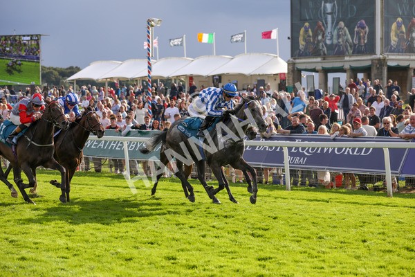 250823-Race 7-Silver Sword-5983 - Race 7 5.15pm Sky Bet Mile Handicap