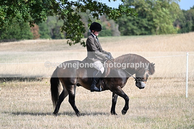 WJ7_2667 - Class 8 Ridden Tack & Turnout