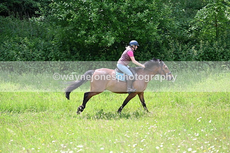 WJ7_8859 - Group 4 11am