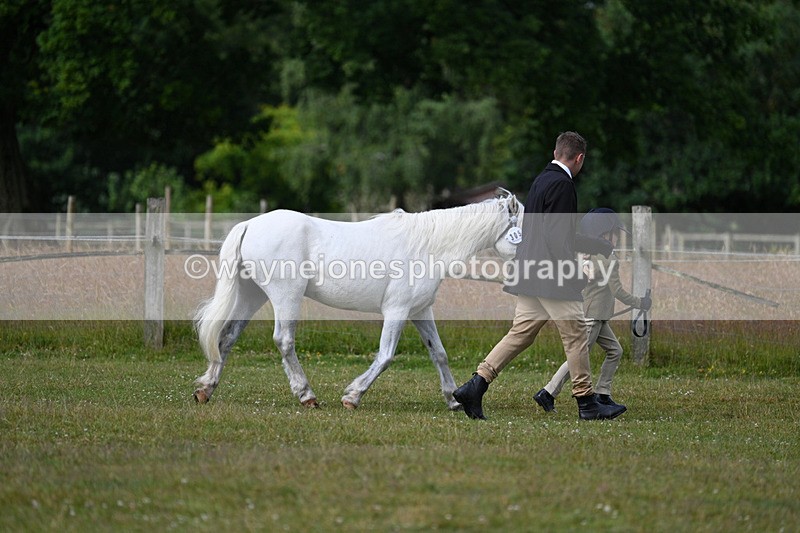 WJ7_4471 - Class 1 Lead Rein Pony