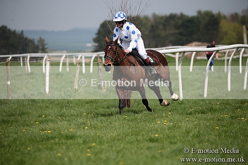 PtP 210418 47 - South & West Wilts Point-to-Point Larkhill 21/04/18