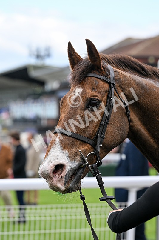 150426-Race 5-Elysian Flame-7338 - Race 5