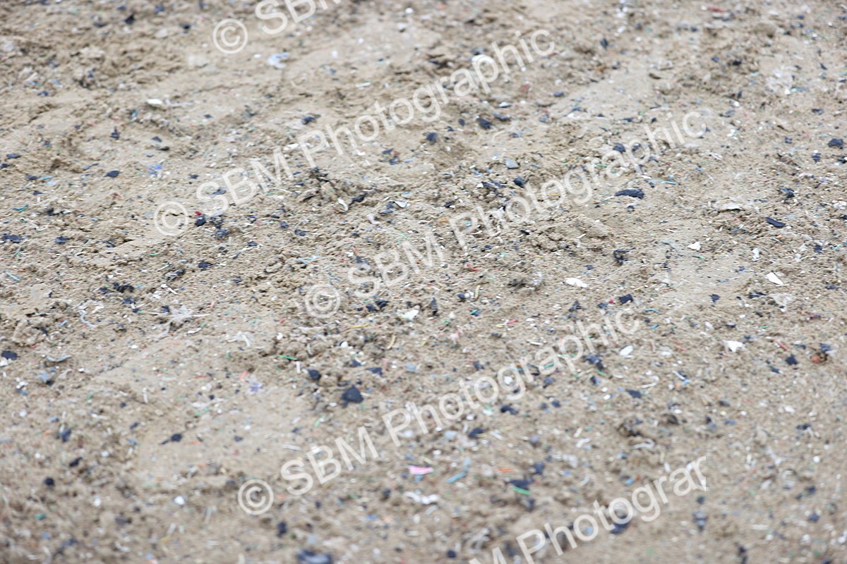 SBM_007483 - Class 31-32 - M&M Confined Novice Small-Large