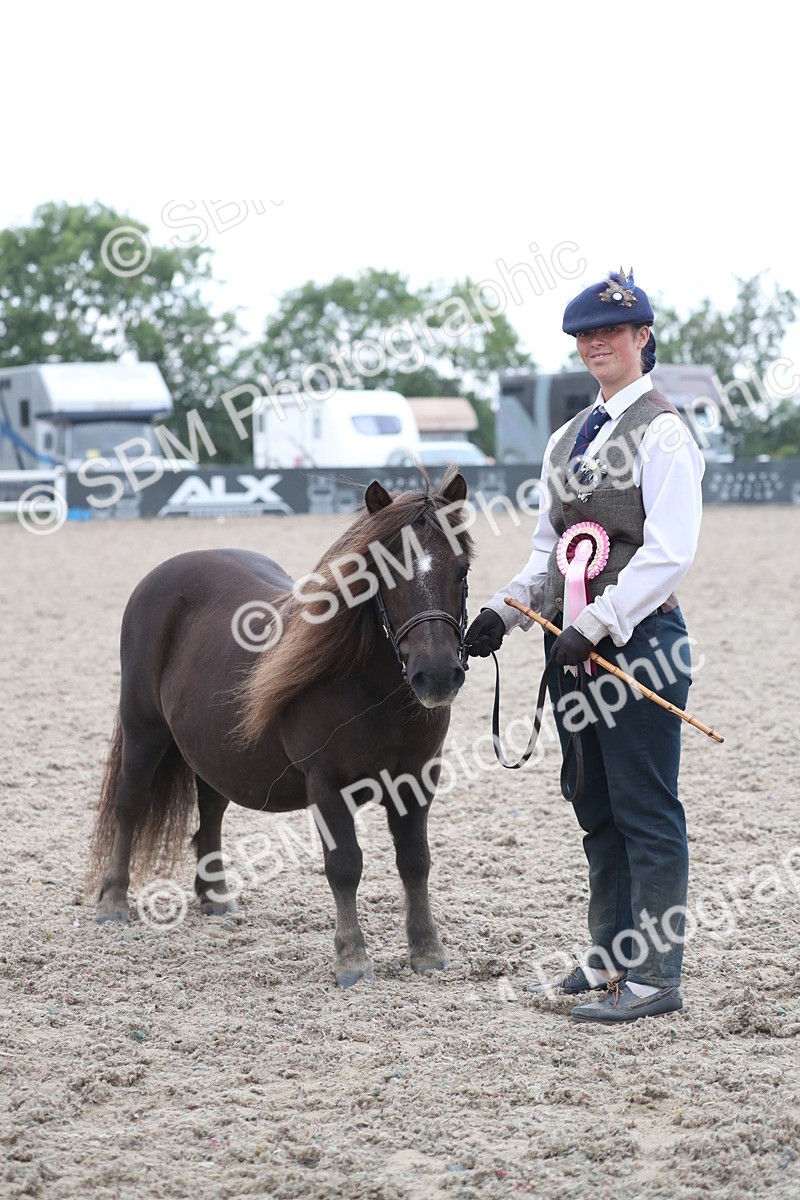 SBM_18012 - Class 317 IH Pure bred Horse/Pony