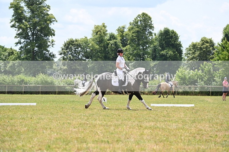 WJ6_6885 - Time 11:48 to 12:22