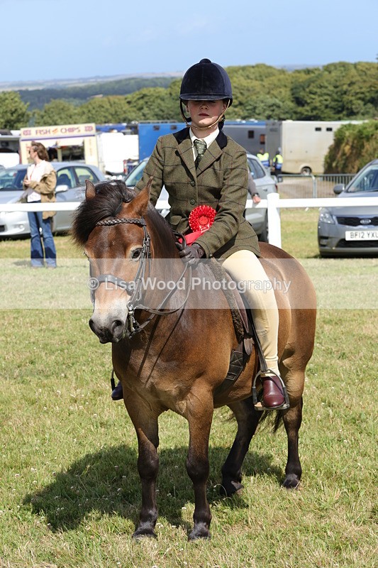 1X9A5640 - Class 39: NPS Dartmoor, Exmoor, Shetland