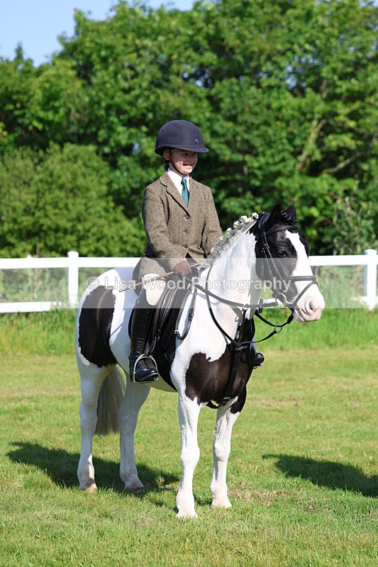 3E7A6015 - Class 27: Novice Working Hunter Pony
