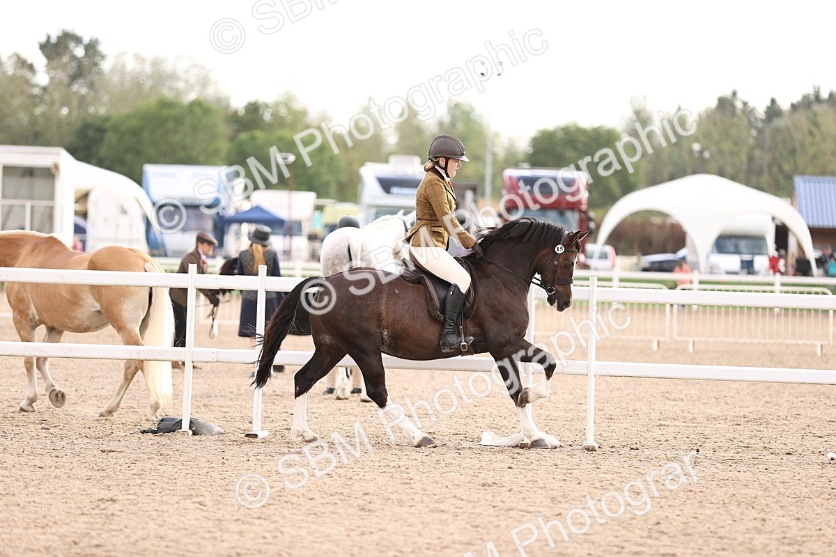 SBM_18210 - Class 423 - Equitation (best rider) Adult
