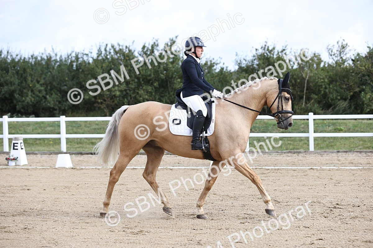 SBM_015389 - Class 14 - Novice 23 - 9.05-10.08