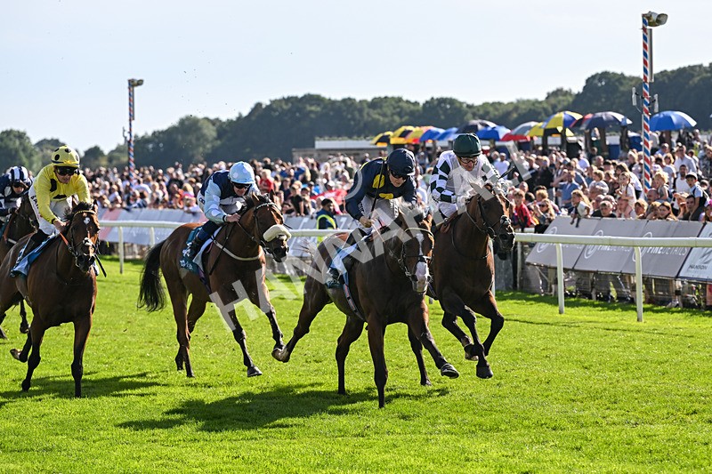 060926-Race 5-Extremely Zain-8397 - Race 5 3.50pm Starman At Tally Ho Stud Garrowby Stakes