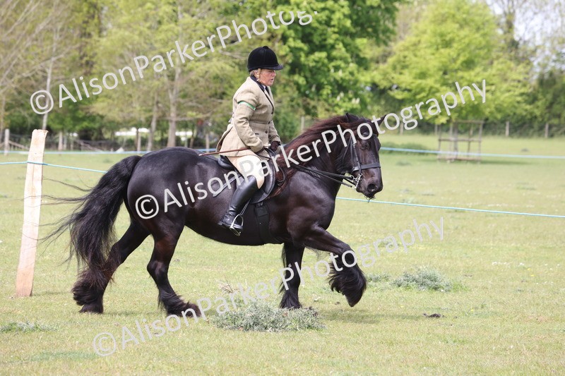 20260426-2995 - Class 33 - Best Pony 14.2hh and Under
