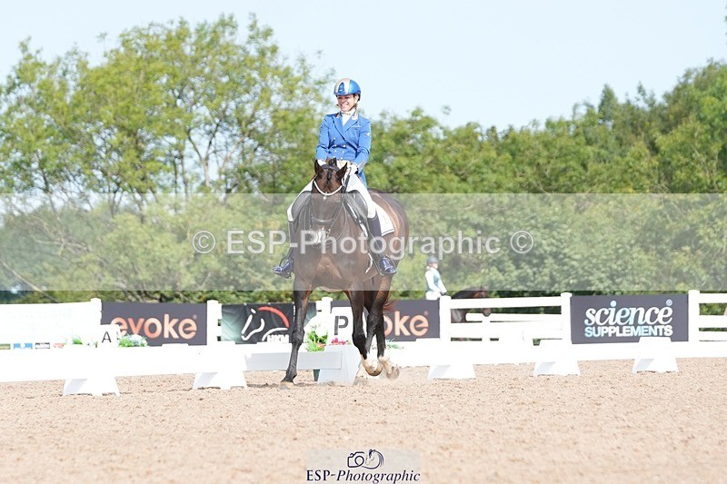 250815-111259-00776 - 012-Natasha.Collings-CostelloDovevale.Tender.Dove