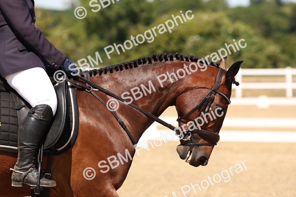 SBM_002897 - Elementary 4