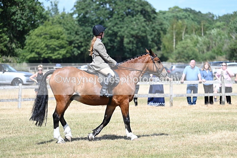 WJ7_3454 - Class 8 Ridden Veterans
