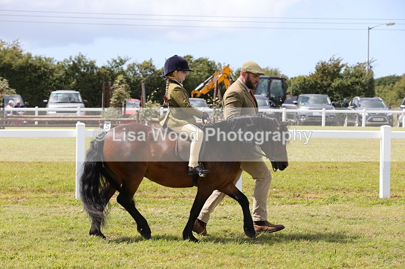 1X9A5085 - Class 36: NPS M&M Lead Rein