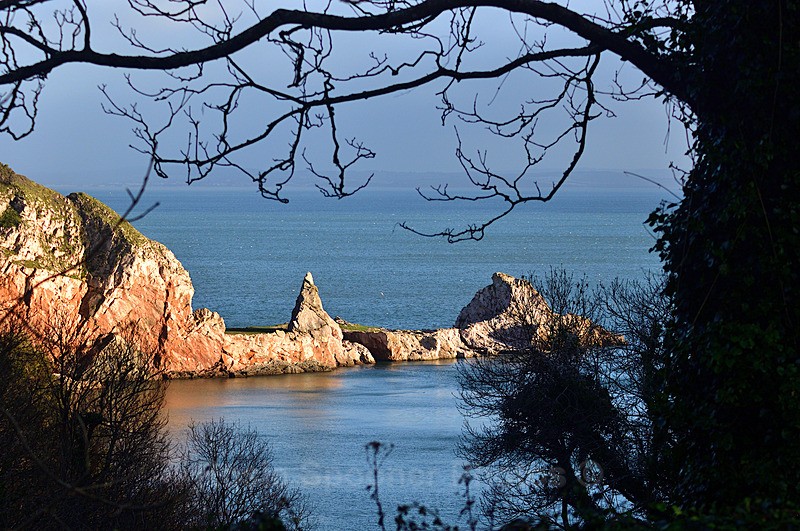 Long Quarry Point at Anstey's Cove through the trees. - Anstey's Cove and Redgate