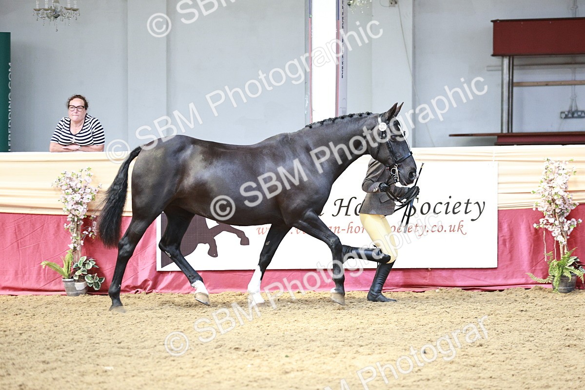 SBM_04752 - Class 7R - Regional IH Diamond