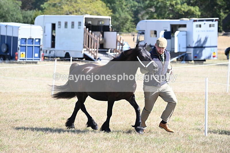 WJ6_4669 - Class 17 Mountain & Moorland