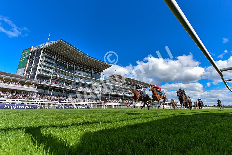 120626-Race 6-Rotokura Belle-0104 - Race 6 16.45pm Dawson Williamson Architects Handicap