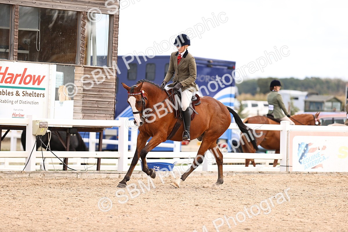 SBM_12955 - Class 410 - Grassroots Ridden - Horse
