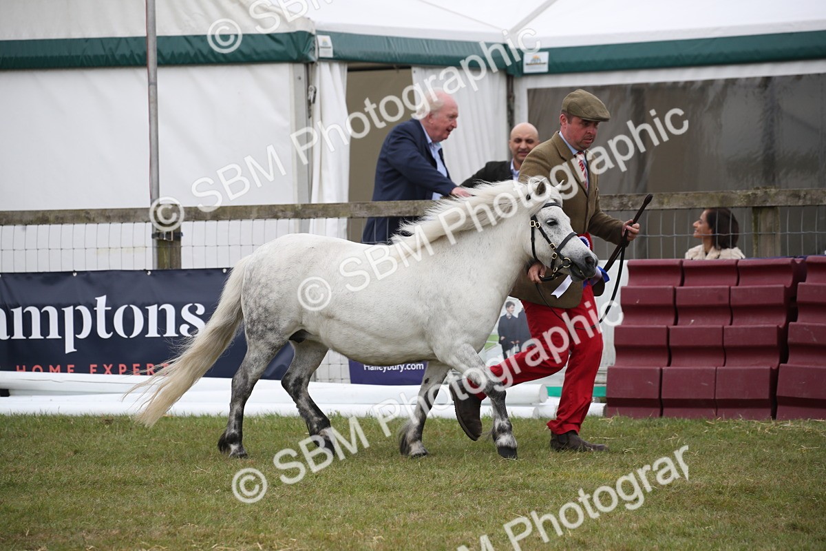 SBM_09755 - Ch 50 - Price Family Supreme In Hand