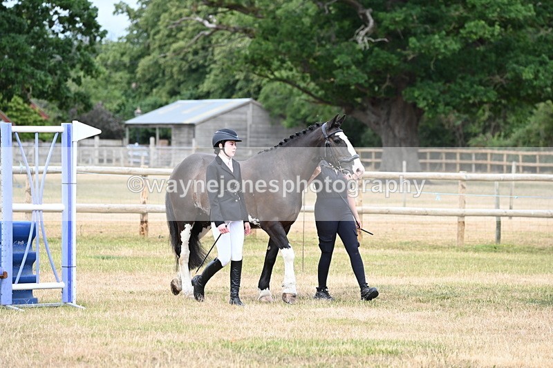 WJ6_4188 - Class 10 Coloured In-hand
