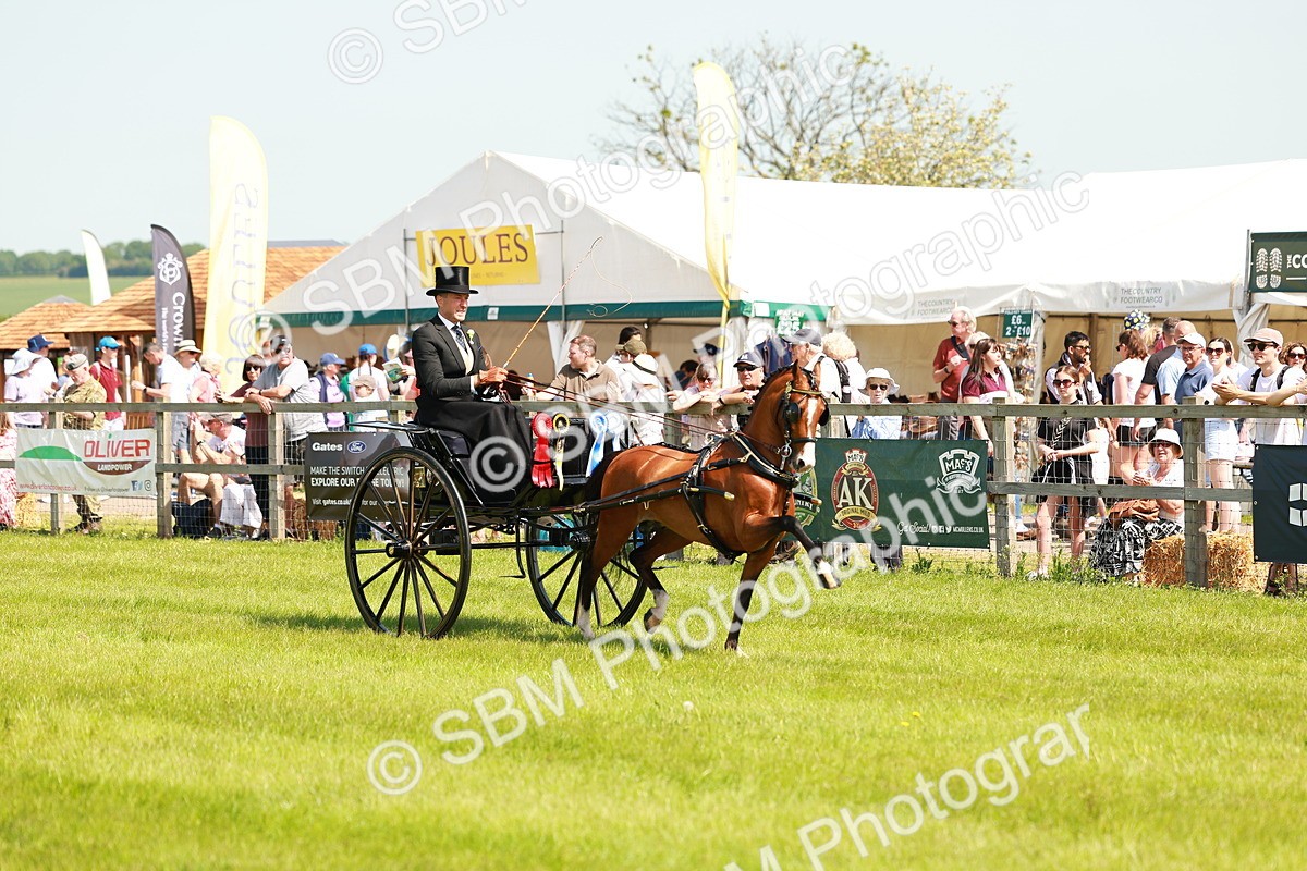 SBM_02921