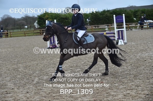 BPP_1309 - CLASS 5 Pony BritiNovice / 0.80m Open