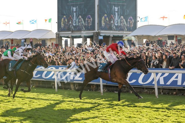 141023-Race 7-Star Ahoy-0699 - Race 7 4.45pm Coral 'Committed To Safer Gambling' Finale Handicap
