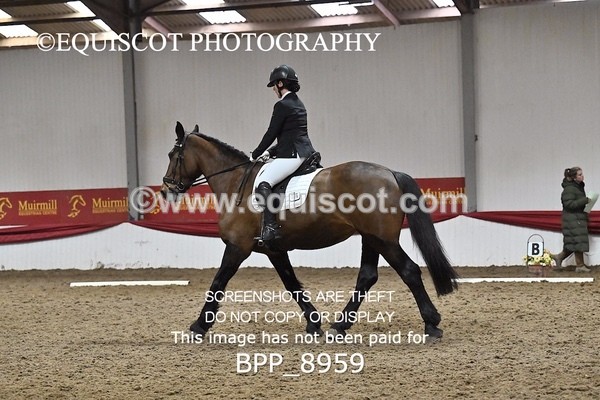 BPP_8959 - NOVICE 6