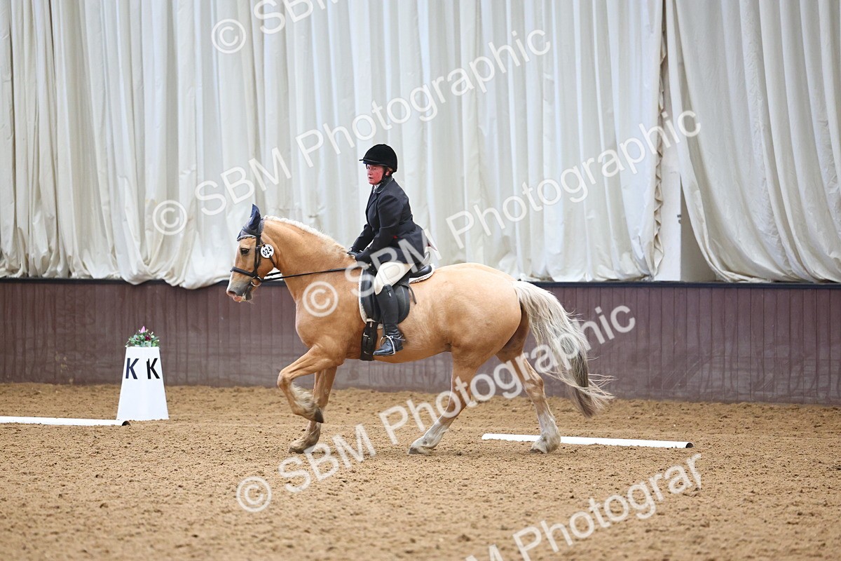 SBM_005406 - Class 3 - Novice 5