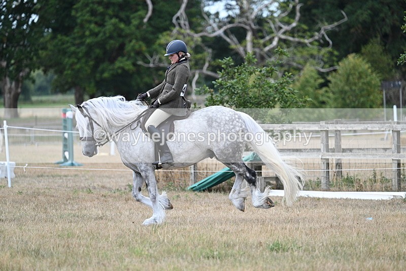 WJ7_5140 - Class 12 Ridden Cob