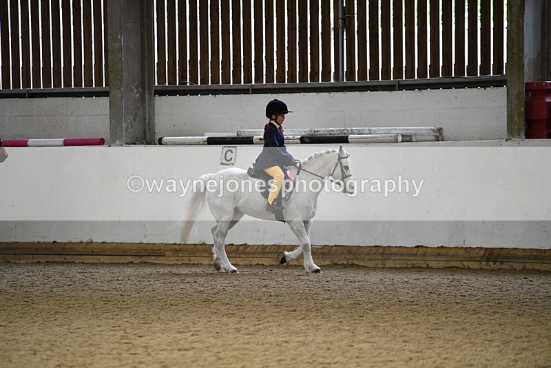 WJ5_7414 - Class 11 Ridden PC - RC Pony