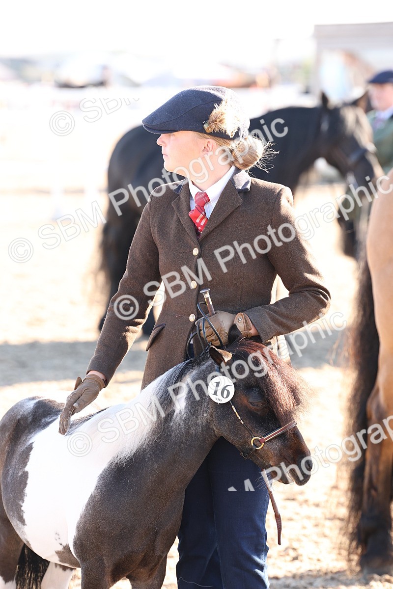 SBM_10792 - Class 201 - Best Turned Out - IH