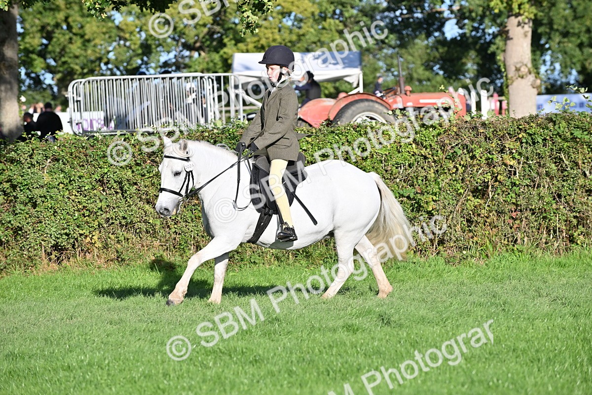 SBM_53062 - S23 - First Ridden Mountain & Moorland Pony
