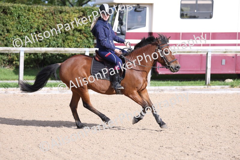 20251005-0350 - Class 3 - 60cm