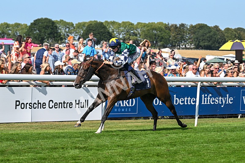 130825-Race 5-Bell Shot-8893 - Race 5