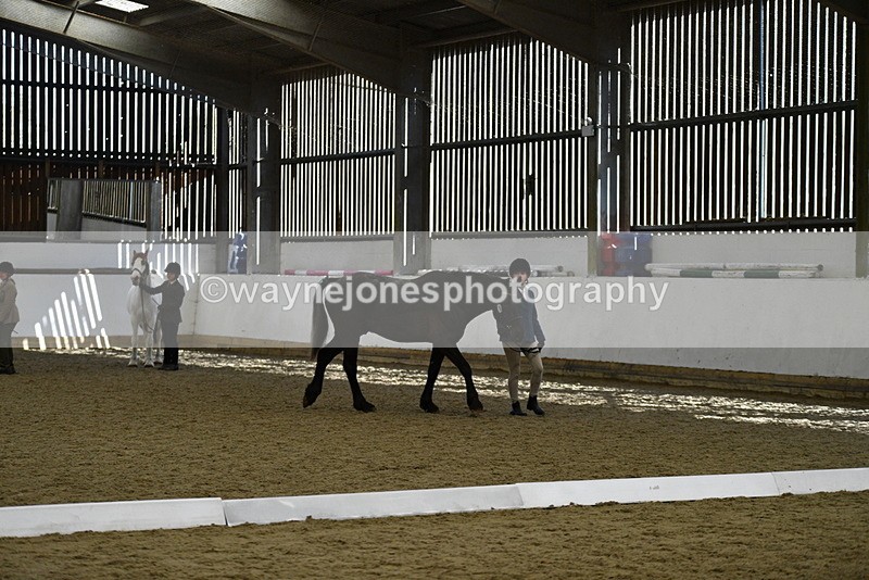 WJ5_4820 - Class 7 In hand coloured / odd coloured